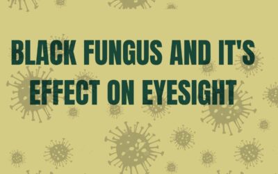 Things You Must Know About Black Fungus